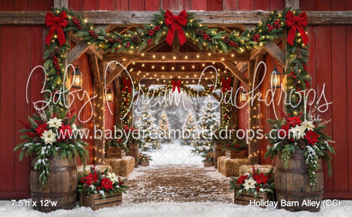 Holiday Barn Alley (CC)