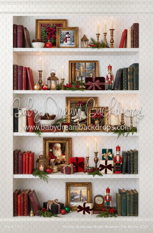 Holiday Bookcase Bright Believer One Skinny (CC)