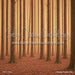 Holiday Forest (CM)