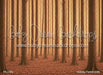 Holiday Forest (CM)