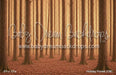 Holiday Forest (CM)