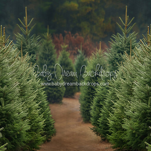 Holly Jolly Tree Farm (JA)