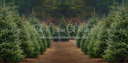 Holly Jolly Tree Farm (JA)