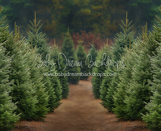 Holly Jolly Tree Farm (JA)
