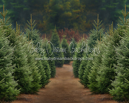 Holly Jolly Tree Farm (JA)
