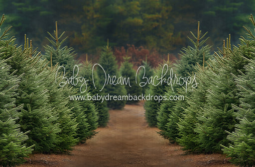 Holly Jolly Tree Farm (JA)