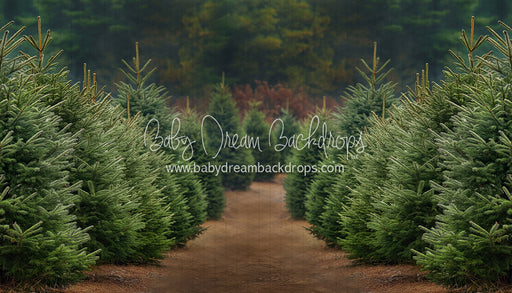 Holly Jolly Tree Farm (JA)