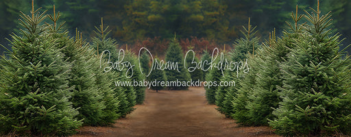 Holly Jolly Tree Farm (JA)