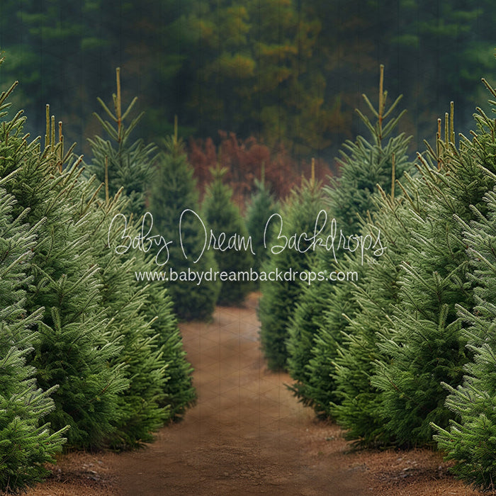 Holly Jolly Tree Farm (JA)