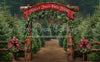 Holly Jolly Tree Farm Arch (JA)