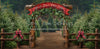 Holly Jolly Tree Farm Arch (JA)