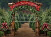 Holly Jolly Tree Farm Arch (JA)