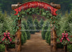Holly Jolly Tree Farm Arch (JA)