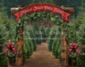 Holly Jolly Tree Farm Arch (JA)