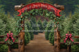 Holly Jolly Tree Farm Arch (JA)