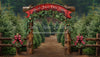 Holly Jolly Tree Farm Arch (JA)
