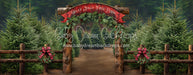 Holly Jolly Tree Farm Arch (JA)