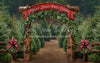 Holly Jolly Tree Farm Arch (JA)