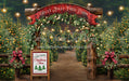 Holly Jolly Tree Farm Arch + Sign + Lights (JA)