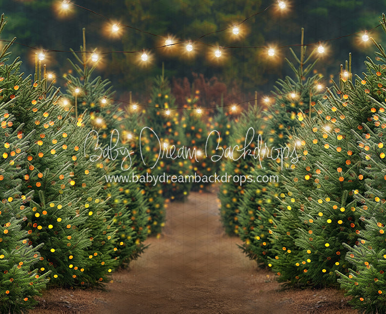 Holly Jolly Tree Farm + Lights (JA)