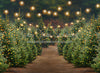 Holly Jolly Tree Farm + Lights (JA)