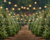 Holly Jolly Tree Farm + Lights (JA)