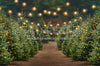 Holly Jolly Tree Farm + Lights (JA)