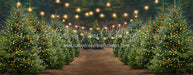 Holly Jolly Tree Farm + Lights (JA)