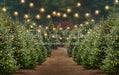 Holly Jolly Tree Farm + Lights (JA)