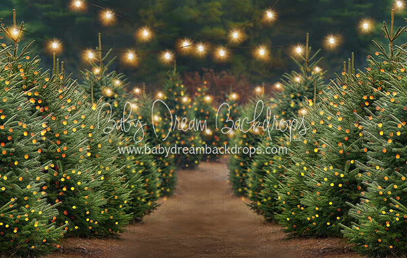Holly Jolly Tree Farm + Lights (JA)