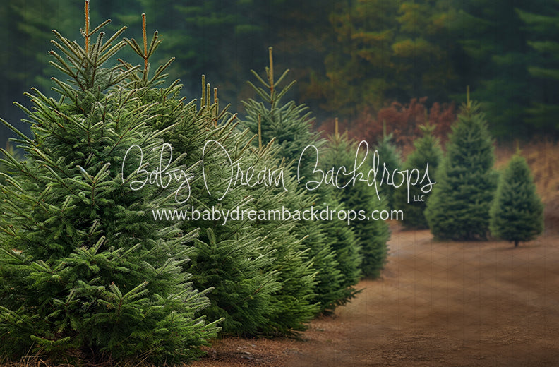 Holly Jolly Tree Farm Side (JA)