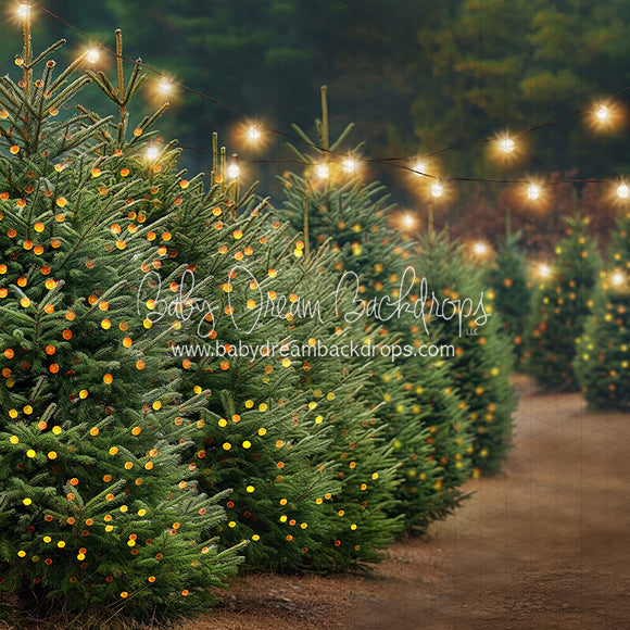 X Drop Holly Jolly Tree Farm Side Lights (JA)