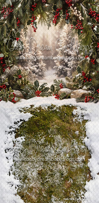 Holly for a Fairy Sweeps (CC)