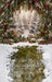 Holly for a Fairy Sweeps (CC)