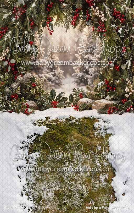 Holly for a Fairy Sweeps (CC)