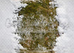 Holly in the Forest Fabric Floor (CC)