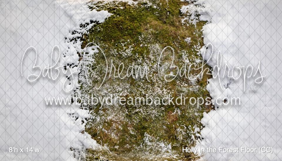 Holly in the Forest Fabric Floor (CC)