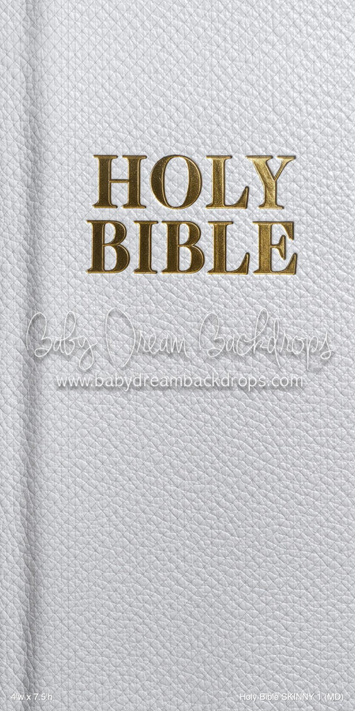 Holy Bible SKINNY 1 (MD)