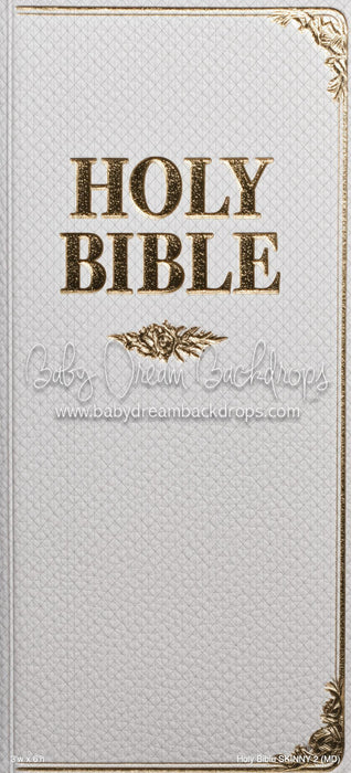 Holy Bible SKINNY 2 (MD)
