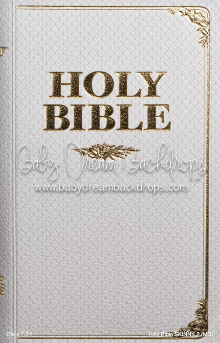 Holy Bible SKINNY 2 (MD)