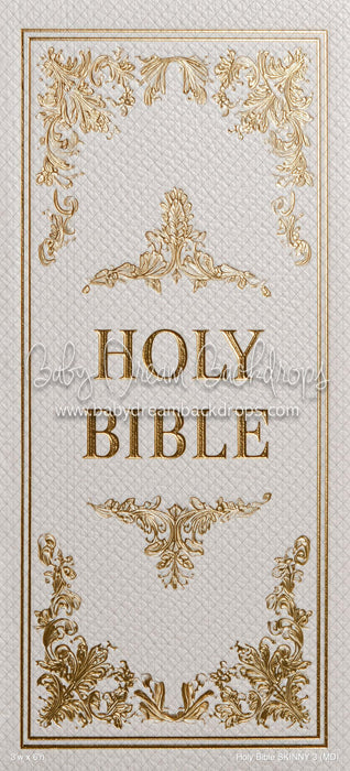 Holy Bible SKINNY 3 (MD)