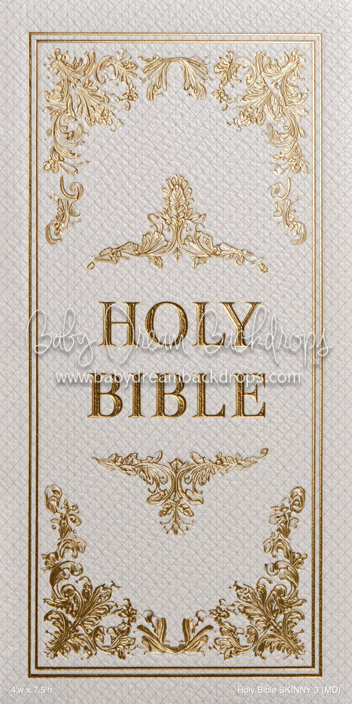 Holy Bible SKINNY 3 (MD)