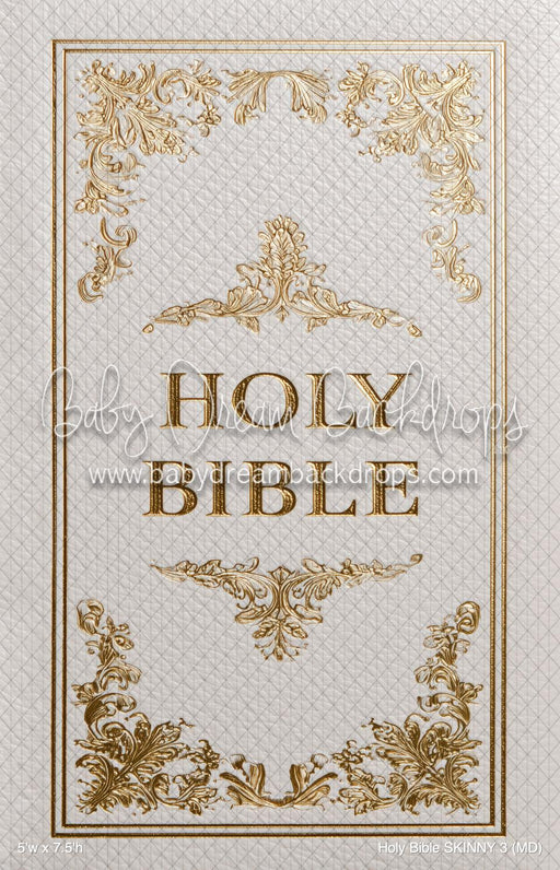 Holy Bible SKINNY 3 (MD)