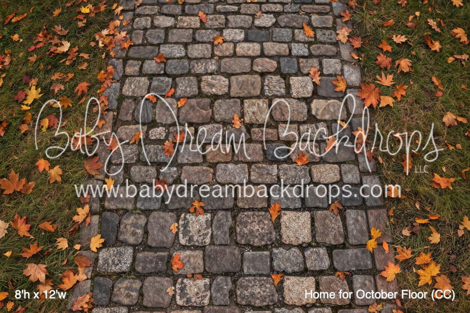 Home for October Fabric Floor (CC)