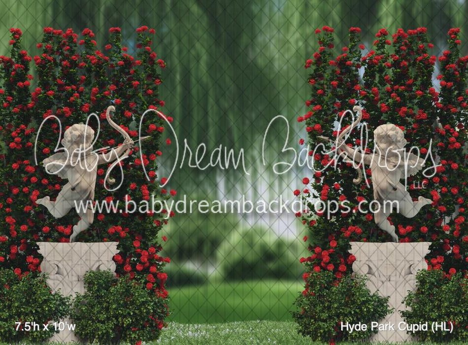 Hyde Park Cupid (HL)