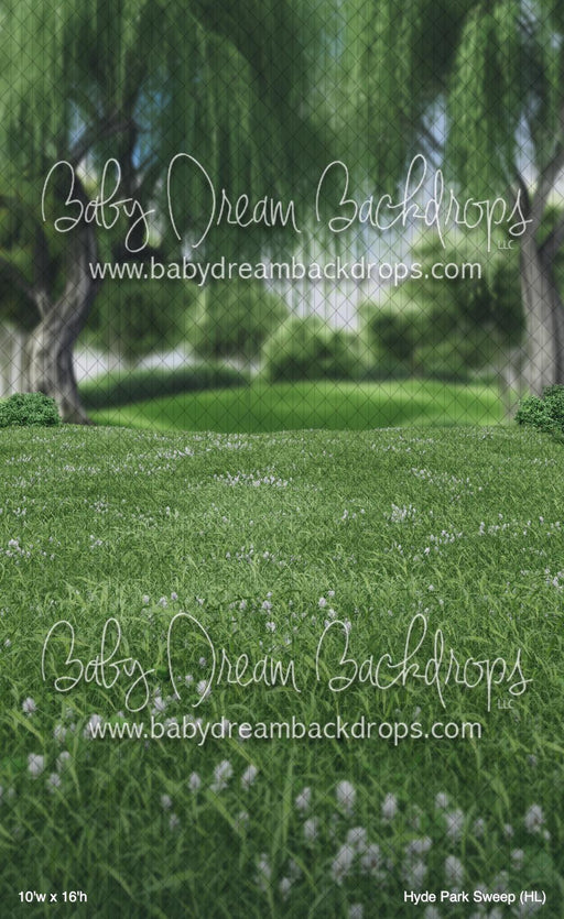 Hyde Park Sweep (HL)