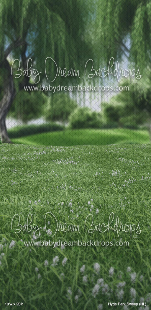 Hyde Park Sweep (HL)