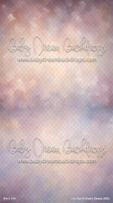 I've Got A Dream Sweep (MD)