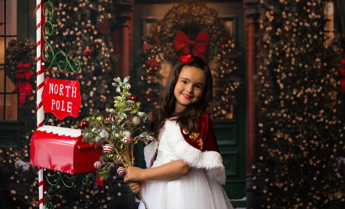 Dickens Home for Christmas (JA)