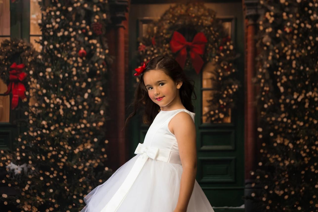 Dickens Home for Christmas (JA)